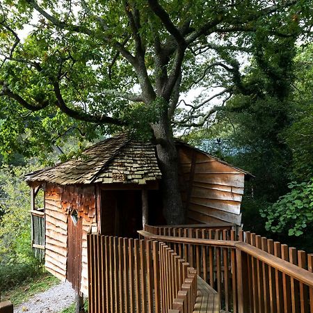Deerpark Cabins, Cornwall - Forest Holidays Liskeard Exterior foto