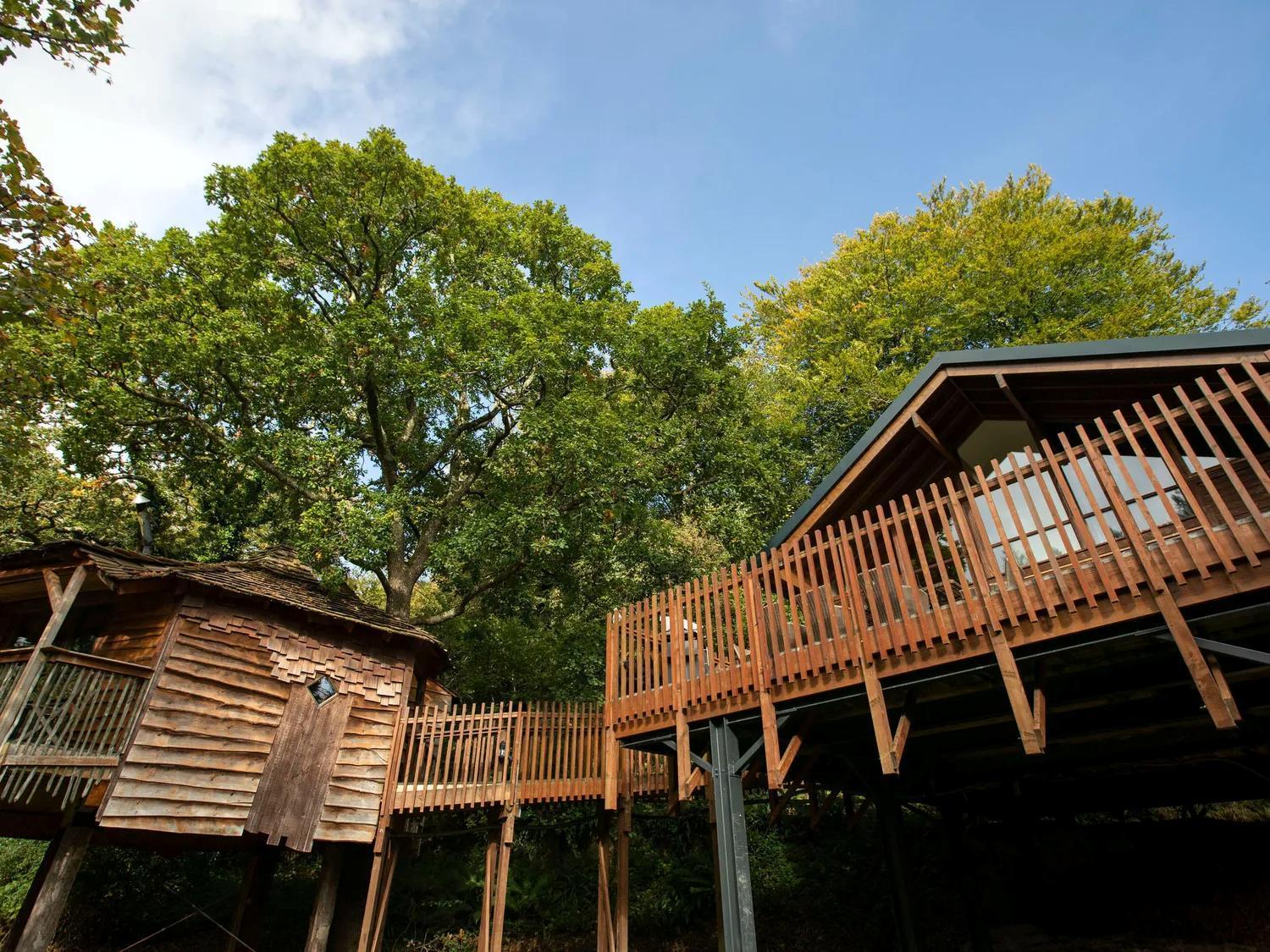 Deerpark Cabins, Cornwall - Forest Holidays Liskeard Exterior foto